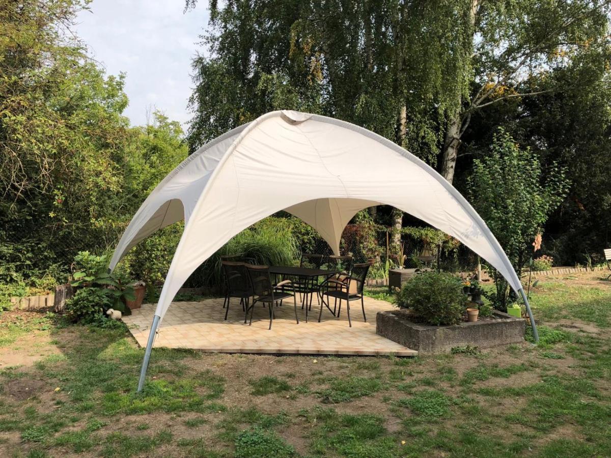 Ferienwohnung Schwemmer Pirna Exterior foto